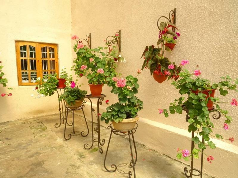 سوخومي Guesthouse On Zheleznodorozhnaya المظهر الخارجي الصورة